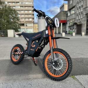 Электромотоцикл Kugoo Wish 01