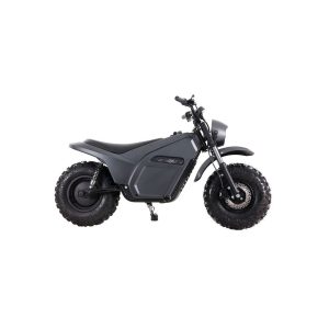 Электромотоцикл LUCKY DUCK EXR200
