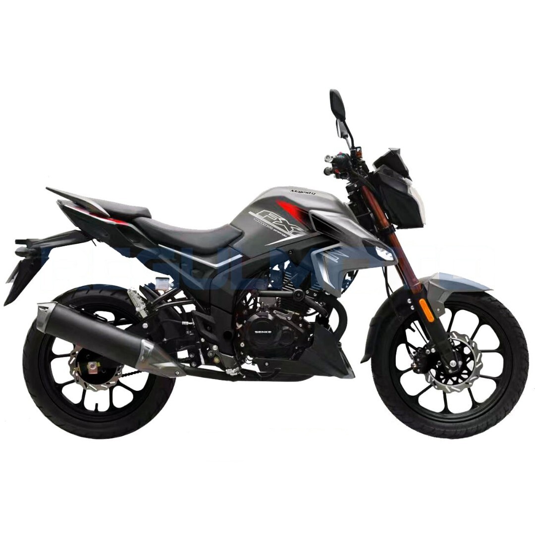 Мотоцикл Regulmoto Majesty