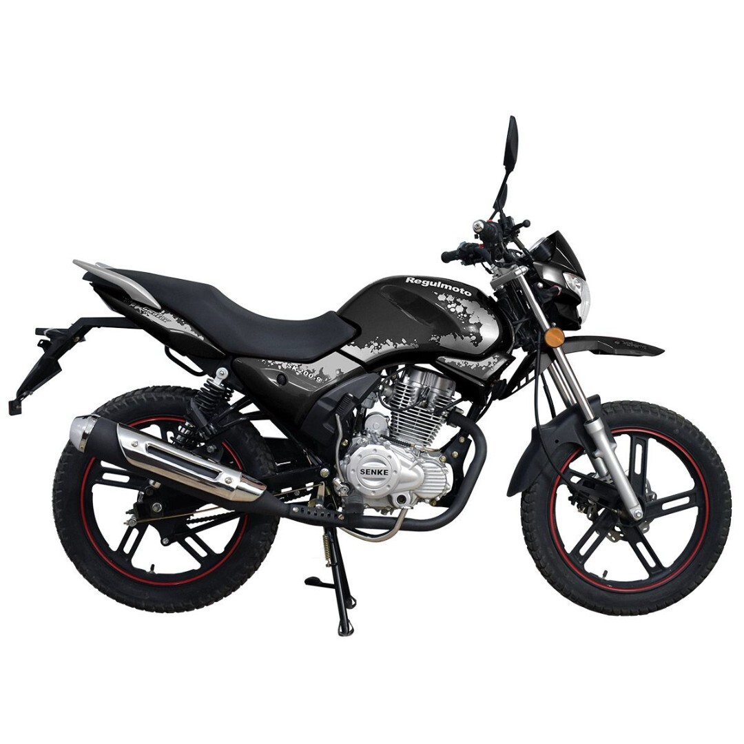 Мотоцикл Regulmoto SK200-9 с ПТС — изображение 4