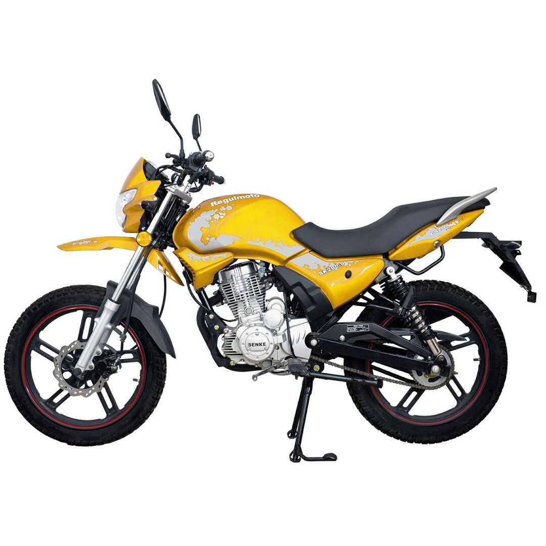 Мотоцикл Regulmoto SK200-9 с ПТС — изображение 2
