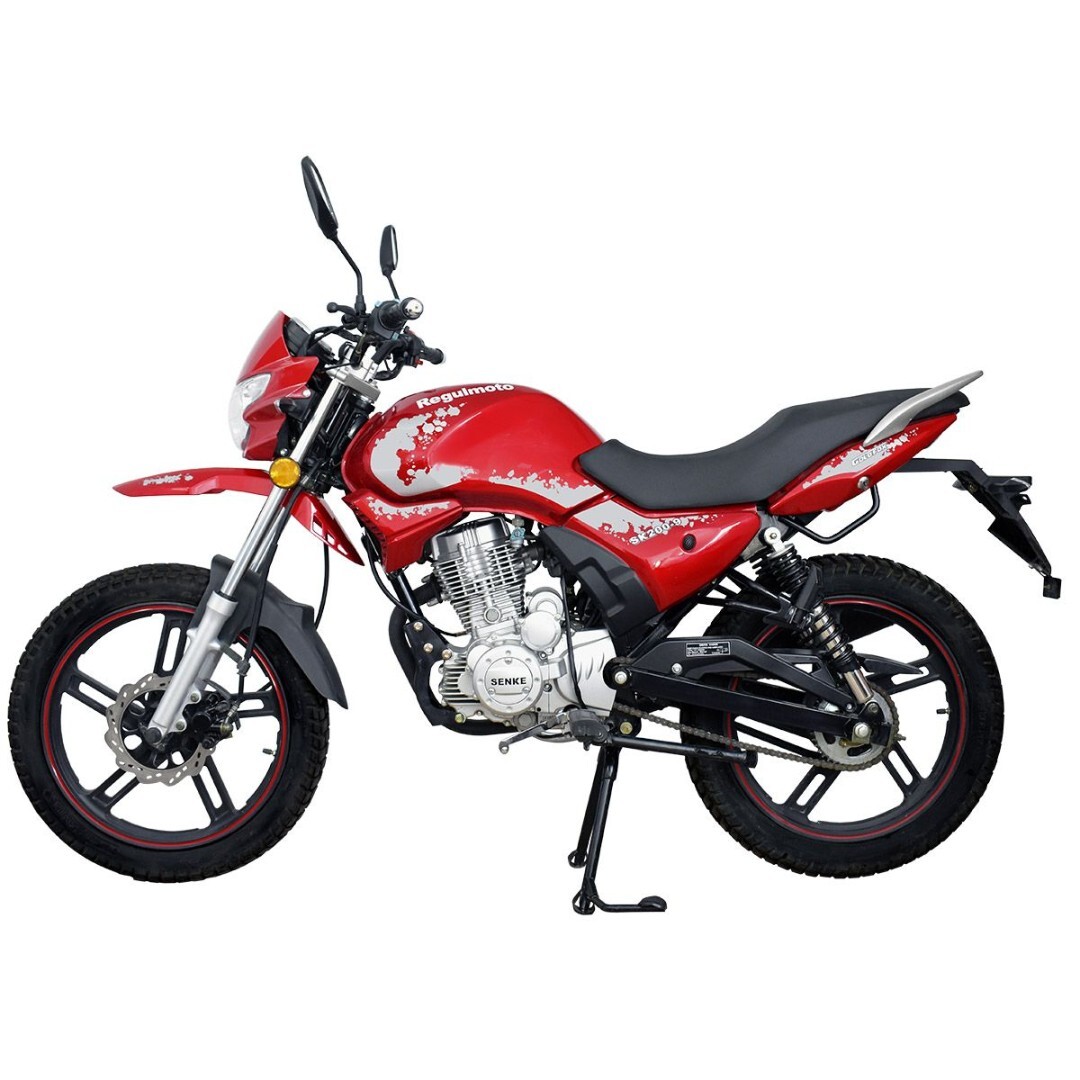 Мотоцикл Regulmoto SK200-9 с ПТС — изображение 3
