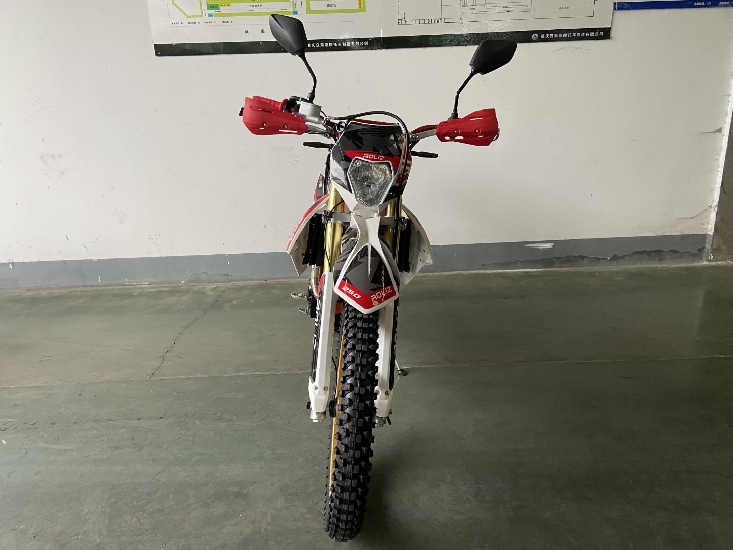 Мотоцикл Roliz Sport-007 ZS172FMM-3A 250cc с ПТС — изображение 7