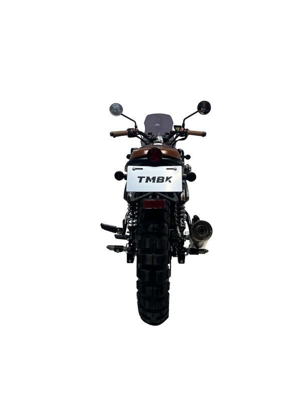 Мотоцикл TMBK FAHRENHEIT 250 (165 FMM) с ПТС — изображение 4
