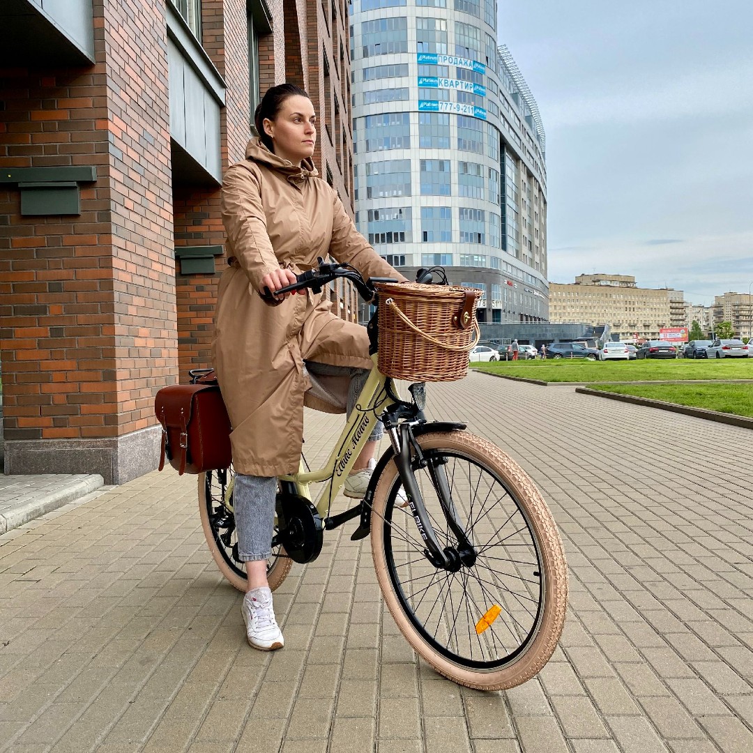Электровелосипед Elbike Monro