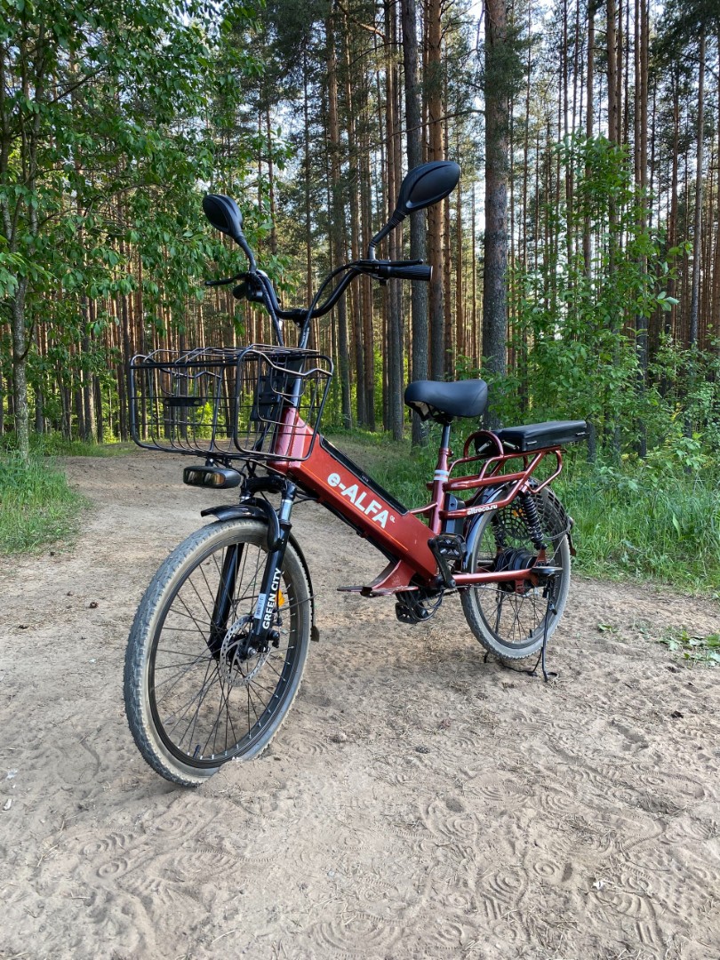 Электровелосипед GREEN CITY e-ALFA GL