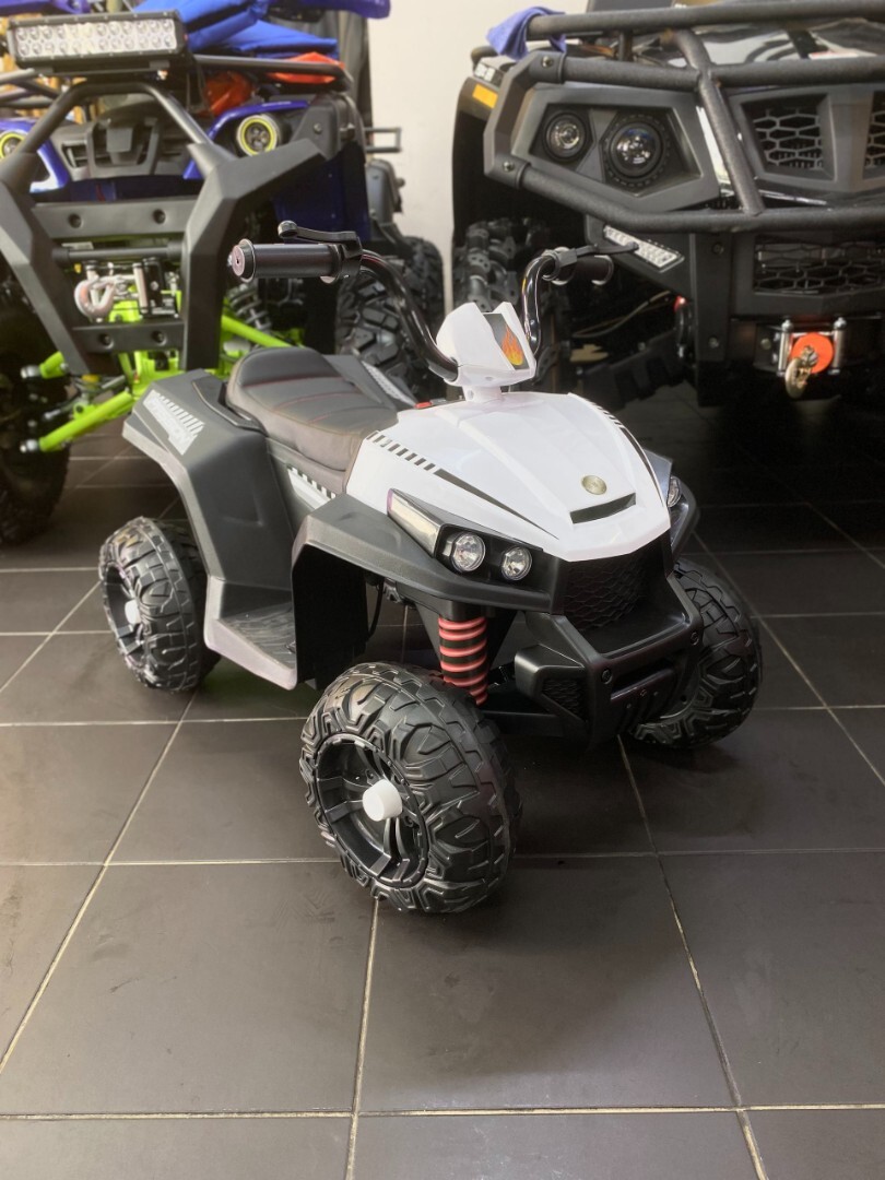 Электроквадроцикл T111TT