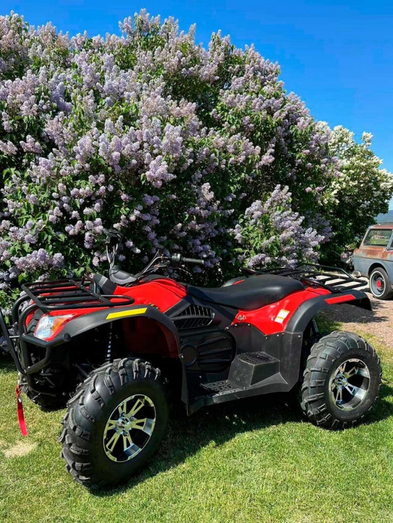 Электроквадроцикл GreenCamel Сахара А14К 4x4 Monster (14kW 90 км/ч) блокировка — изображение 9