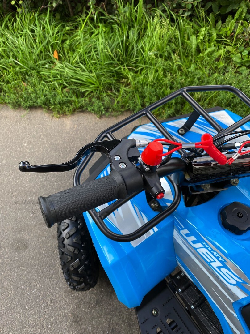 Бензиновый квадроцикл WELS Thunder mini 2T — изображение 24