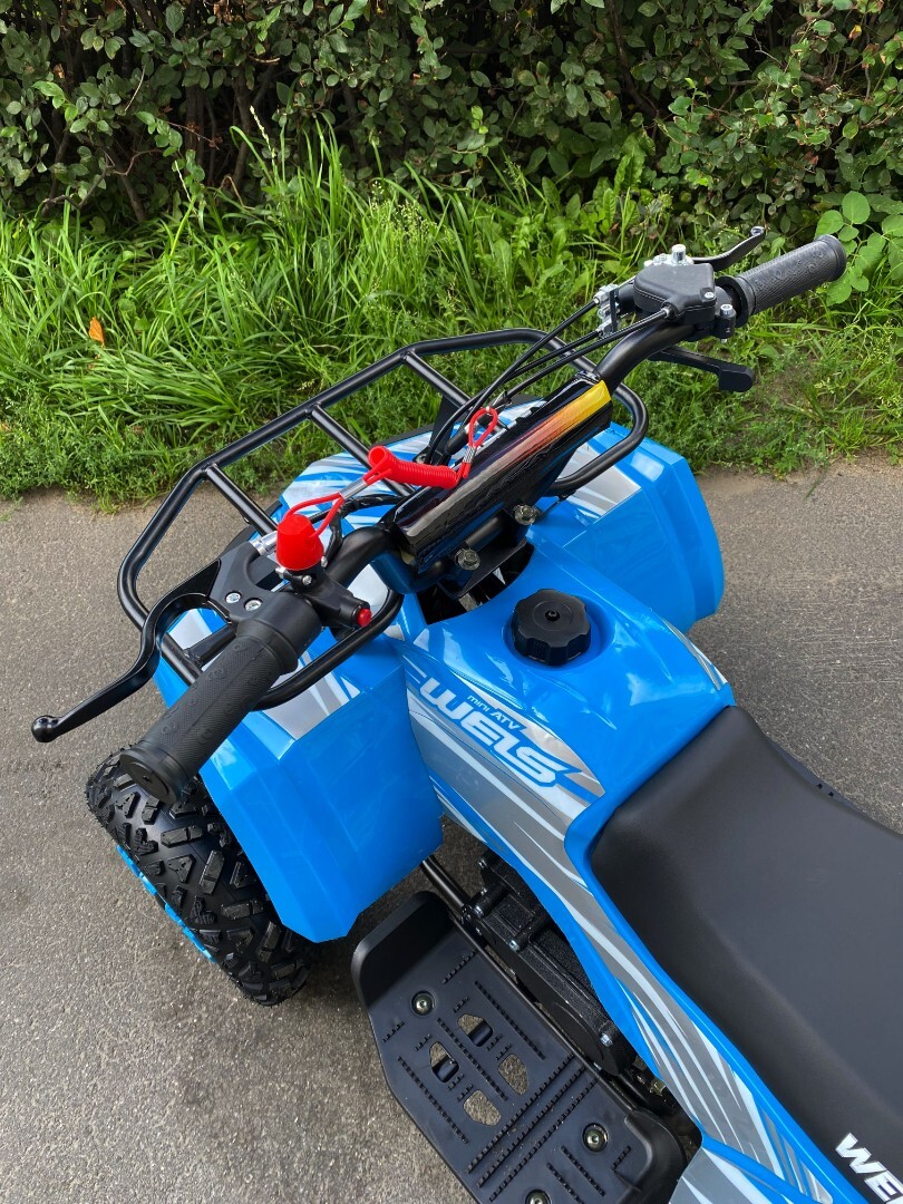Бензиновый квадроцикл WELS Thunder mini 2T — изображение 19