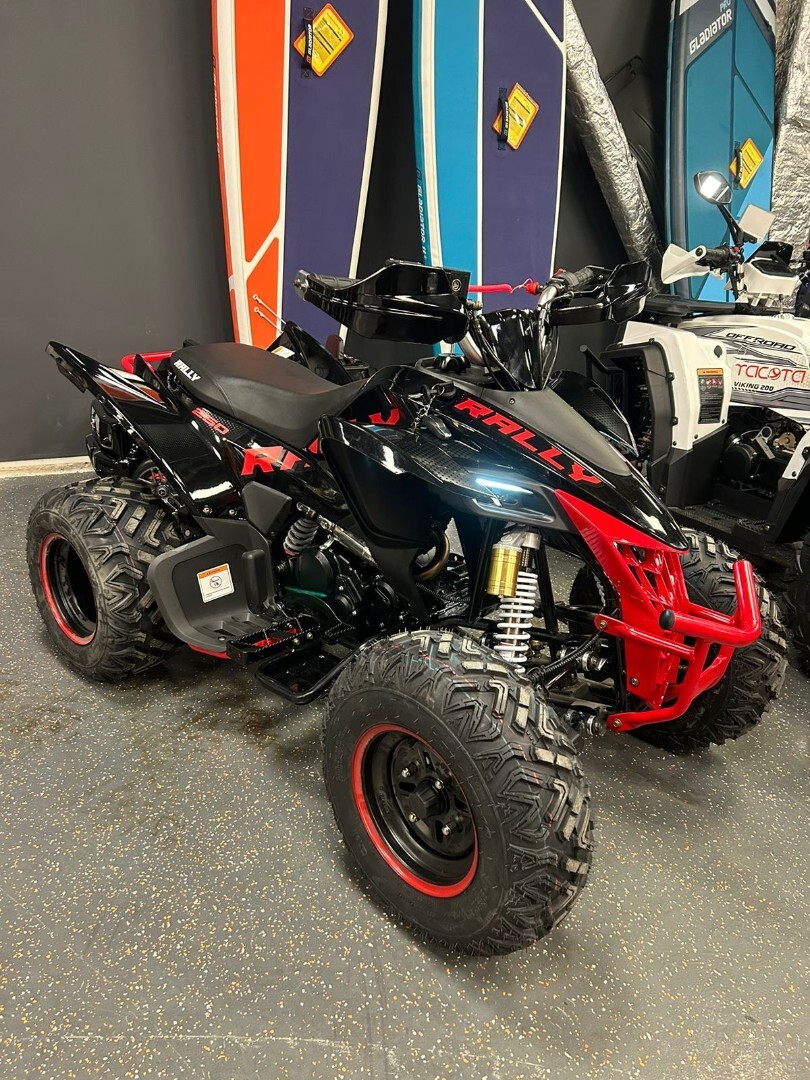 Бензиновый квадроцикл ATV 250 RALLY — изображение 16