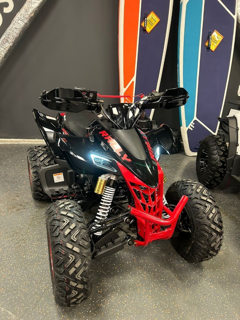 Бензиновый квадроцикл ATV 250 RALLY — изображение 17