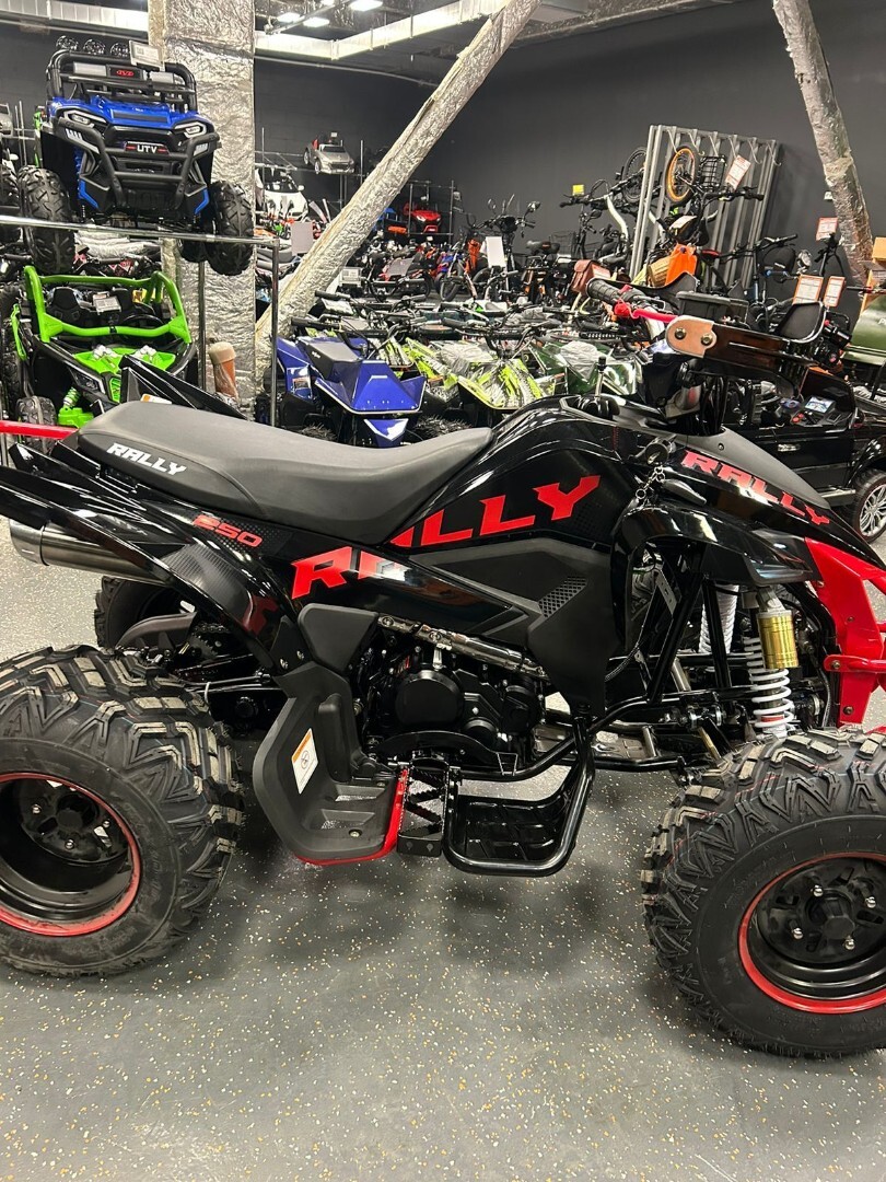 Бензиновый квадроцикл ATV 250 RALLY — изображение 26