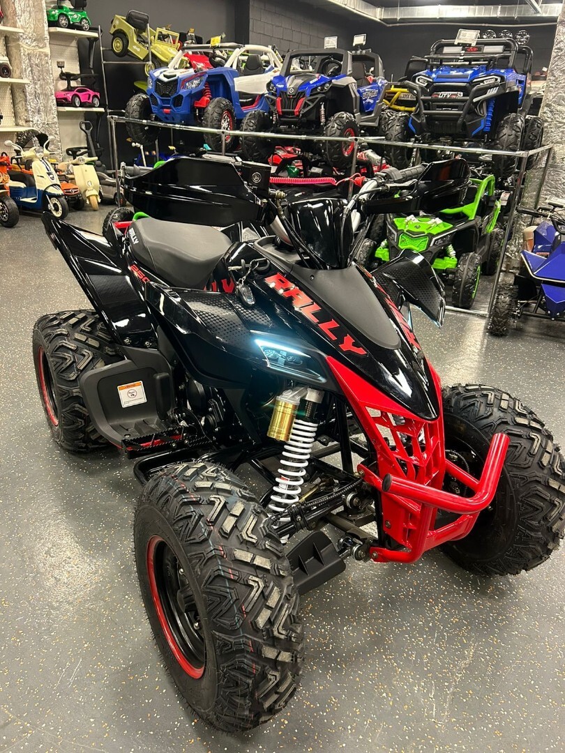 Бензиновый квадроцикл ATV 250 RALLY — изображение 15