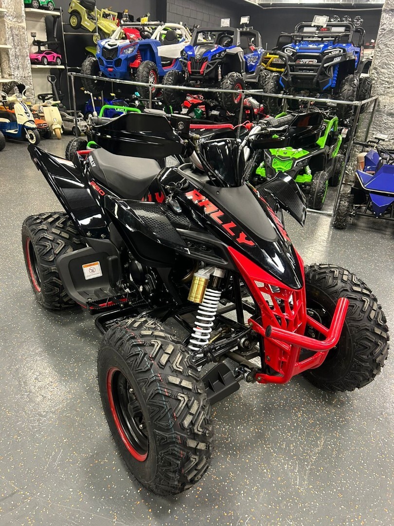 Бензиновый квадроцикл ATV 250 RALLY — изображение 14