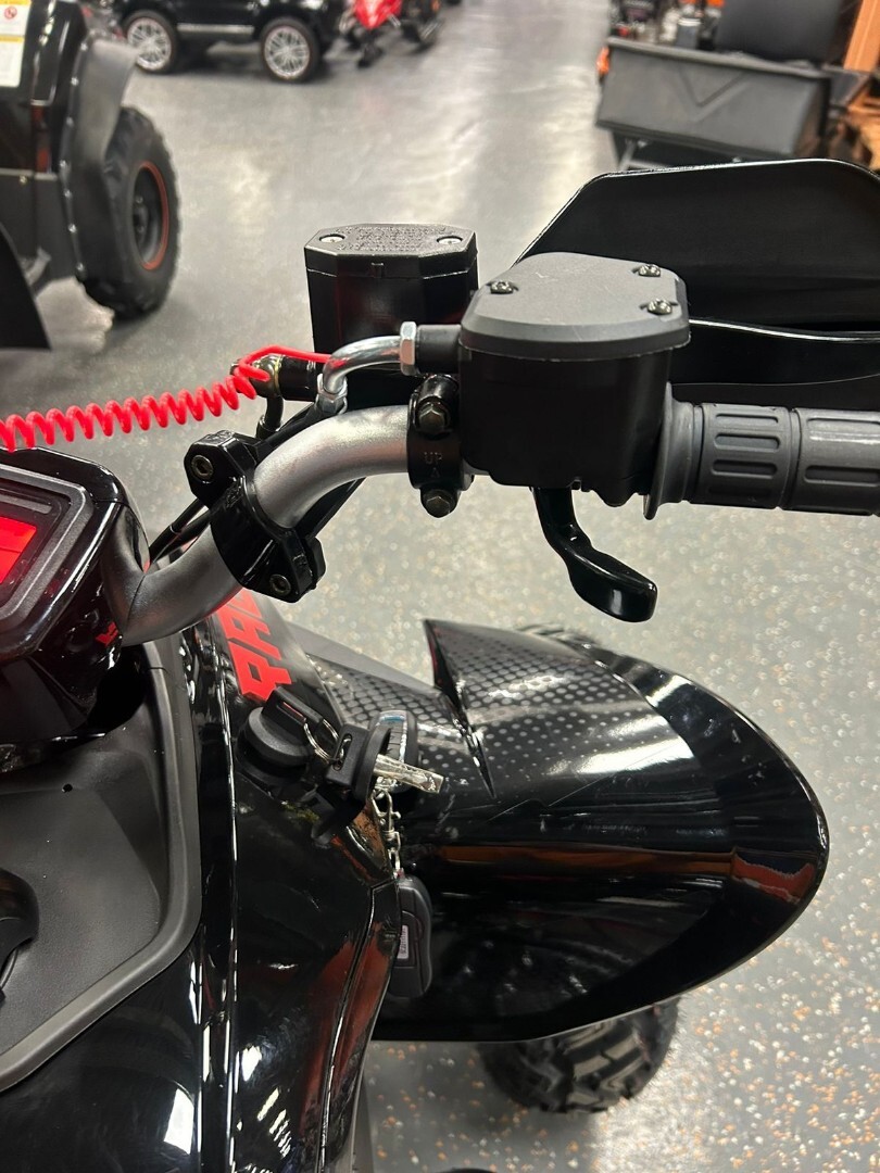 Бензиновый квадроцикл ATV 250 RALLY — изображение 19