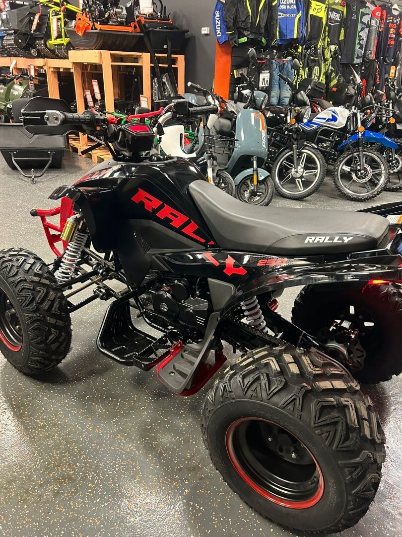 Бензиновый квадроцикл ATV 250 RALLY — изображение 20