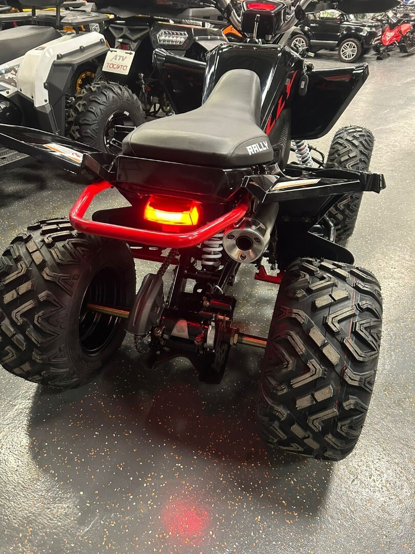 Бензиновый квадроцикл ATV 250 RALLY — изображение 21