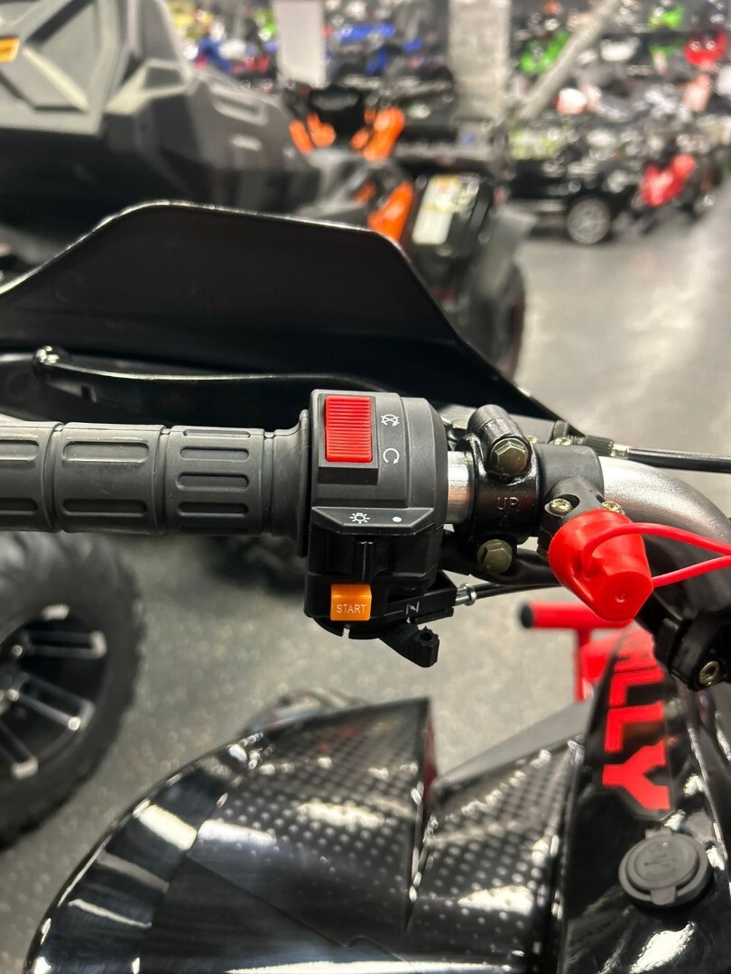 Бензиновый квадроцикл ATV 250 RALLY — изображение 23