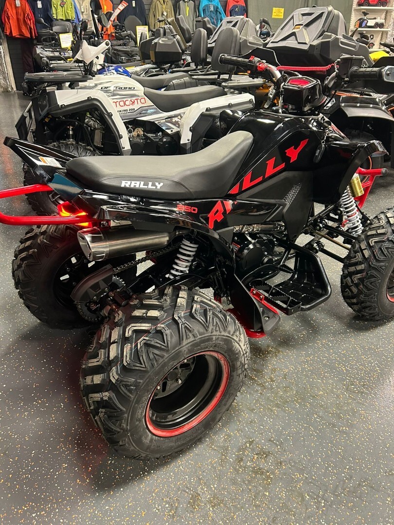 Бензиновый квадроцикл ATV 250 RALLY — изображение 24