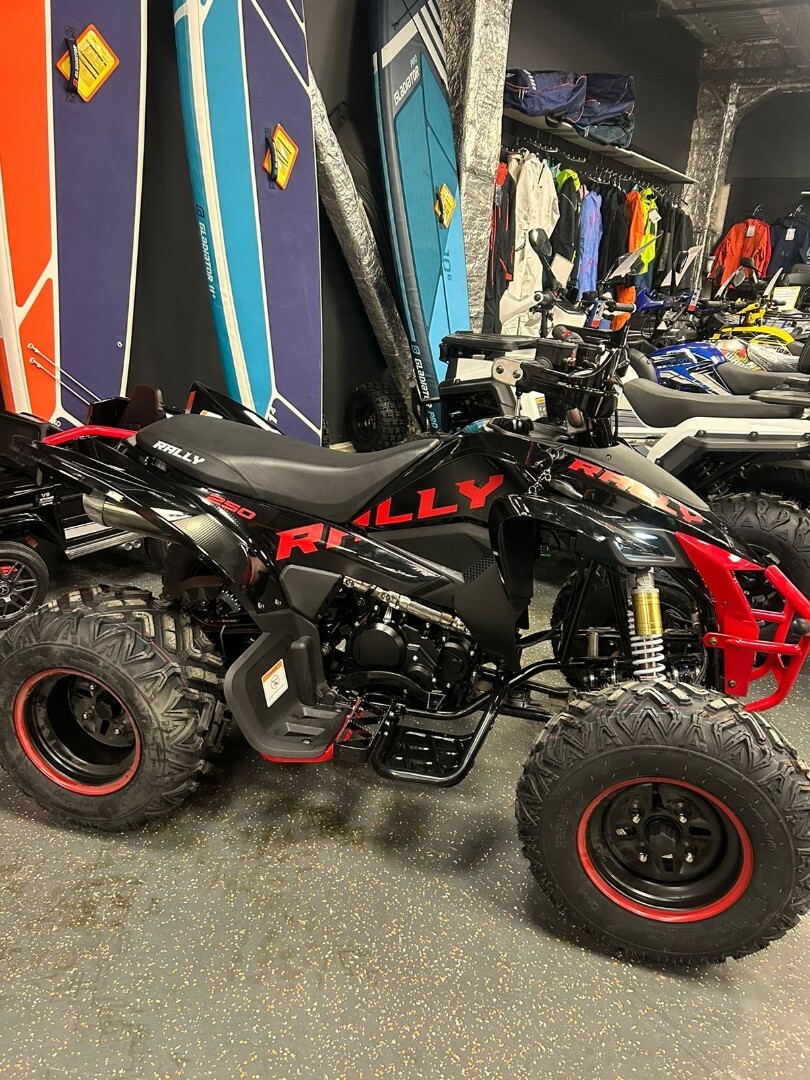 Бензиновый квадроцикл ATV 250 RALLY — изображение 25