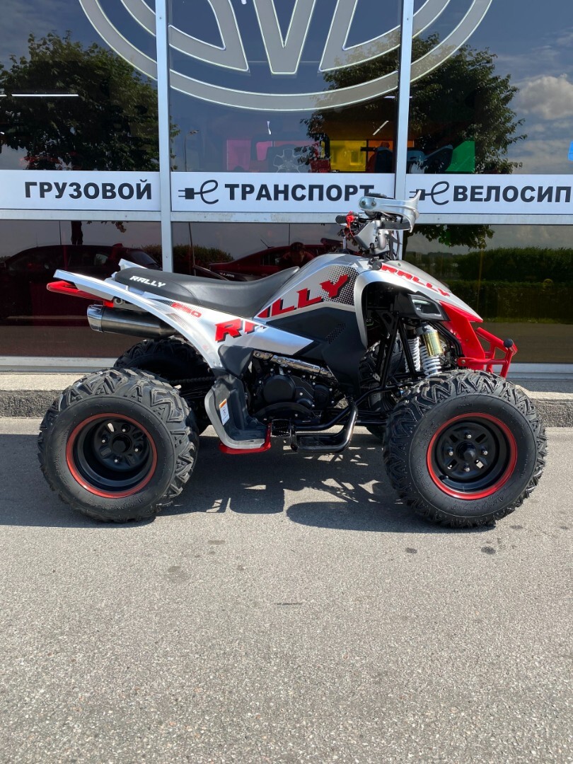 Бензиновый квадроцикл ATV 250 RALLY — изображение 3