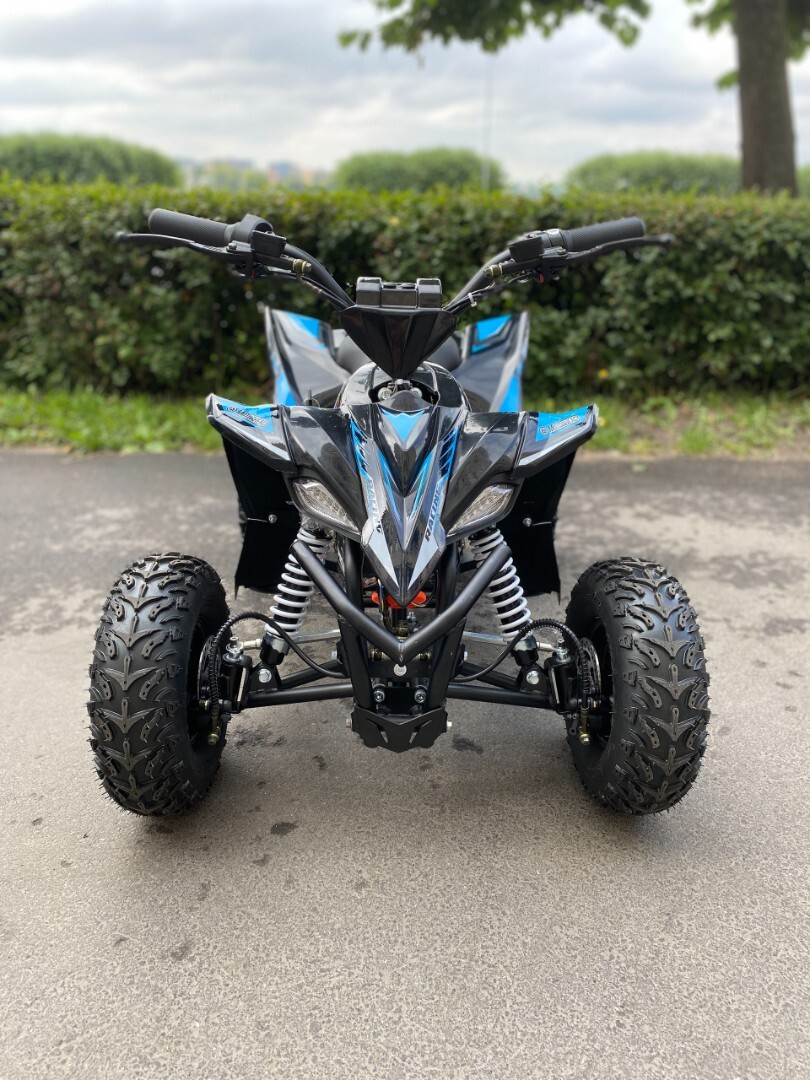 Электроквадроцикл Motorhead Mexico 1000W36 — изображение 17