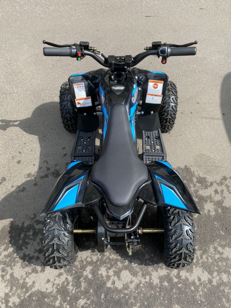 Электроквадроцикл Motorhead Mexico 1000W36 — изображение 6