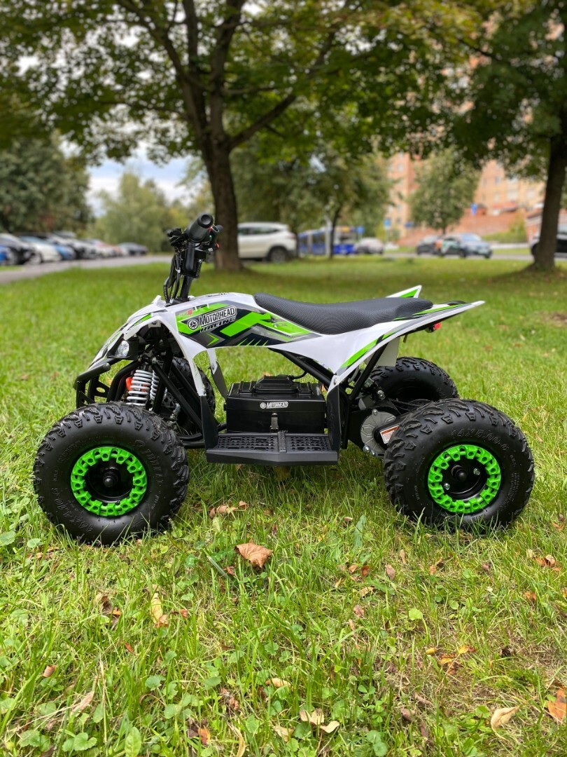 Электроквадроцикл Motorhead Mexico 1000W36 — изображение 27