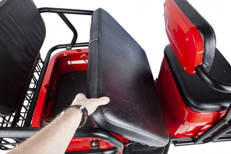 Электротрицикл Rutrike Экипаж 60V650W — изображение 2