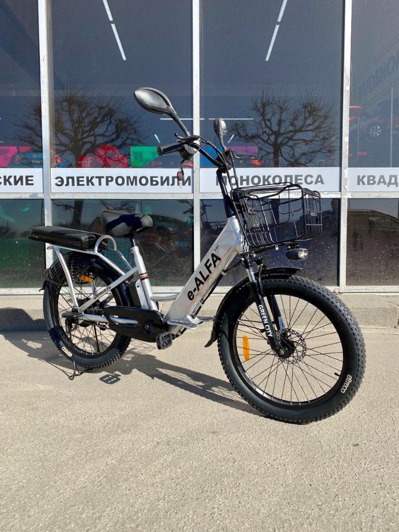 Электро фэтбайк GREEN CITY e-ALFA Fat