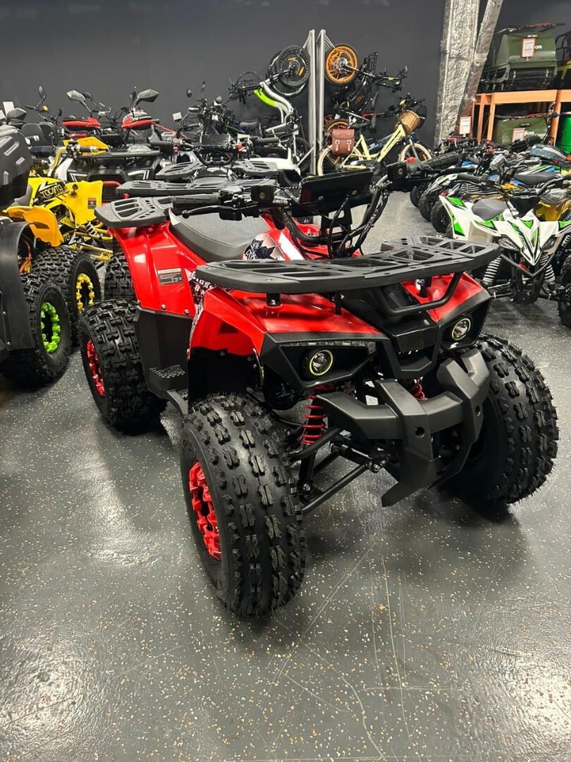 Бензиновый квадроцикл ATV Classic 8+ New — изображение 2