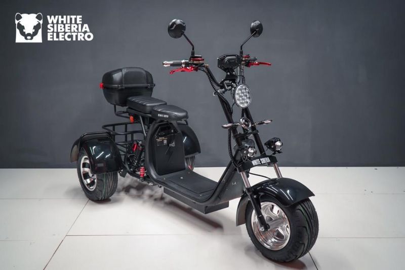 Электроскутер WS-PRO TRIKE 2000W