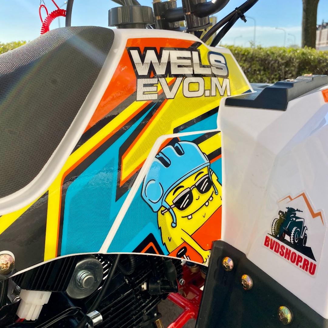 Бензиновый квадроцикл WELS EVO.M — изображение 32