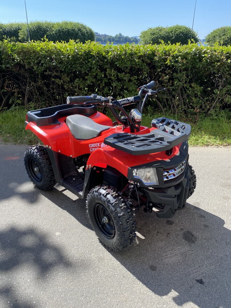 Электроквадроцикл GreenCamel Гоби К24 (36V 800W R6 Цепь)