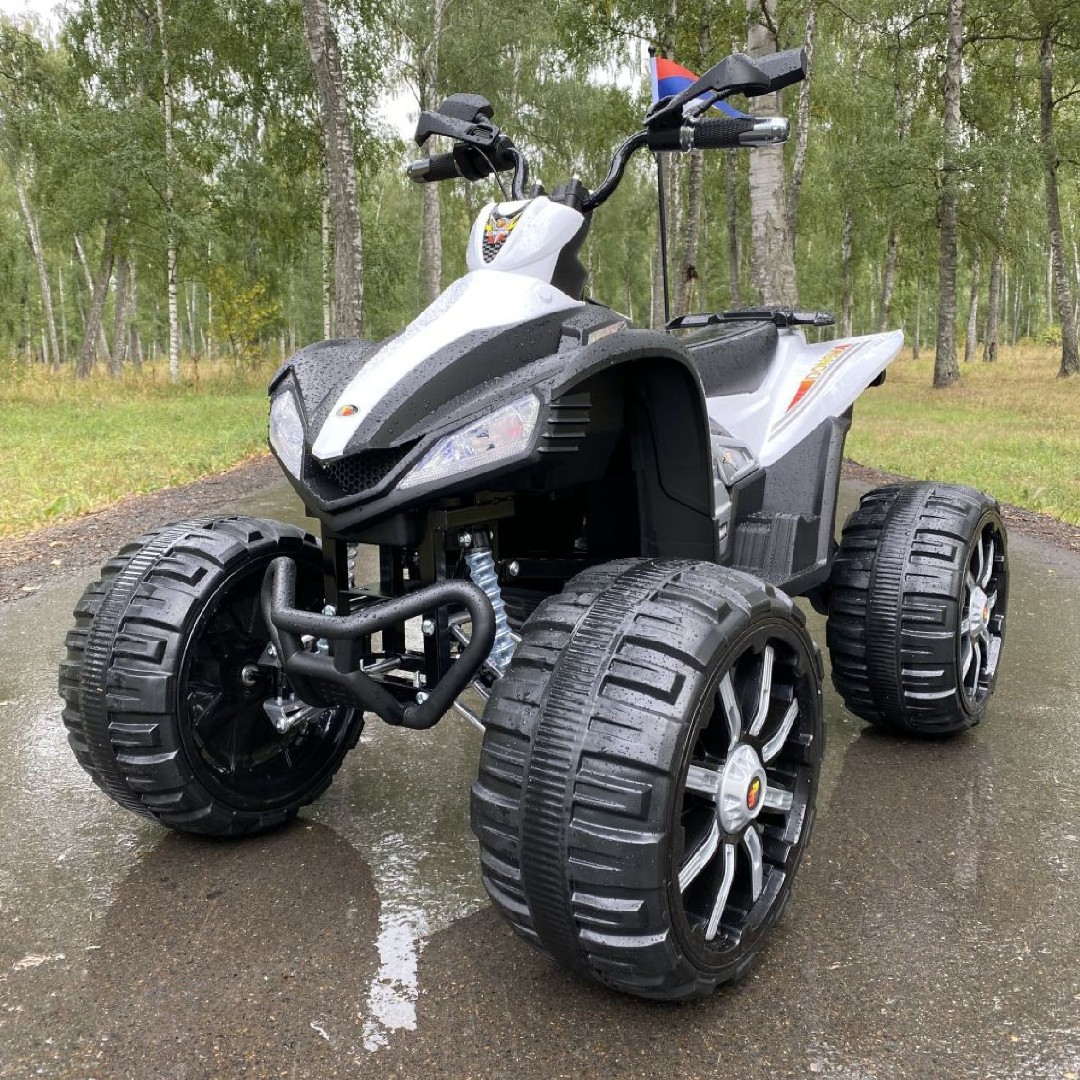 Электроквадроцикл детский P555PP