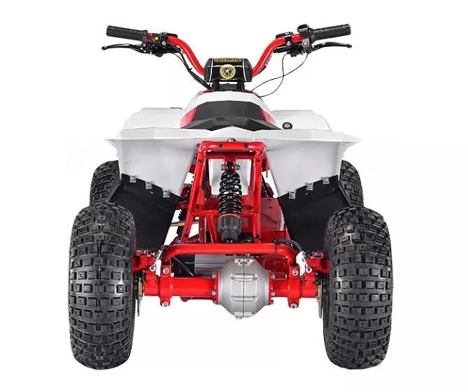 Электроквадроцикл Velocifero Mini ATV 750W — изображение 2