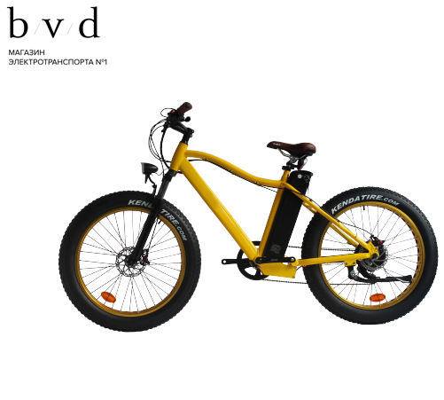 Электро фэтбайк El-Sport TDE-03 — изображение 9