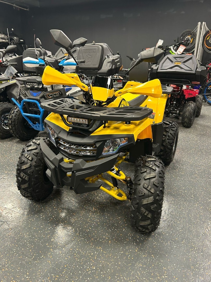 Бензиновый квадроцикл FXMOTO HAMMER 150 — изображение 3