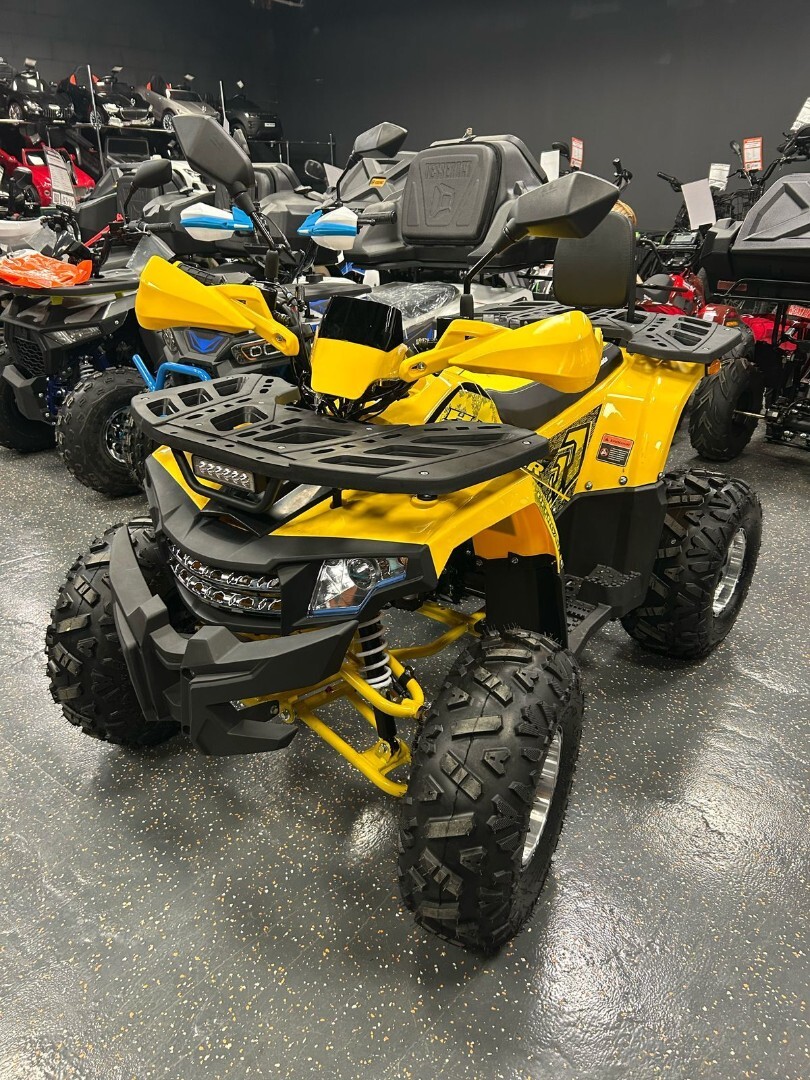 Бензиновый квадроцикл FXMOTO HAMMER 150 — изображение 2