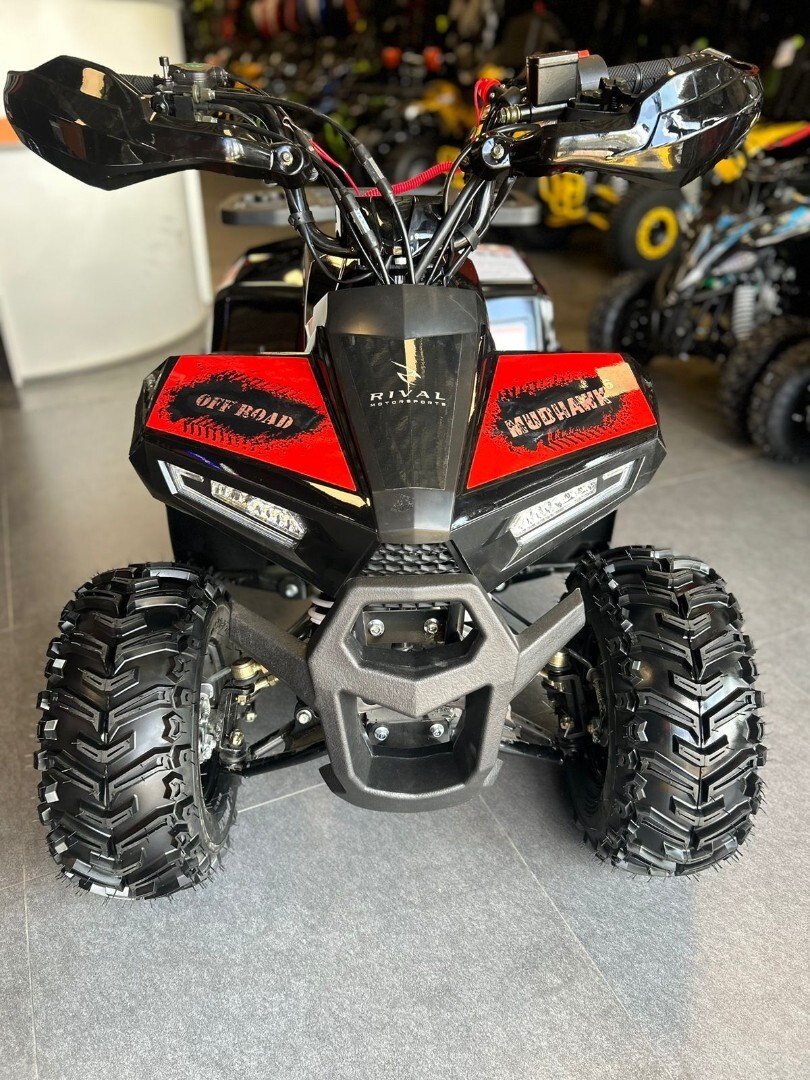 Бензиновый квадроцикл FXMOTO MUDHAWK 110
