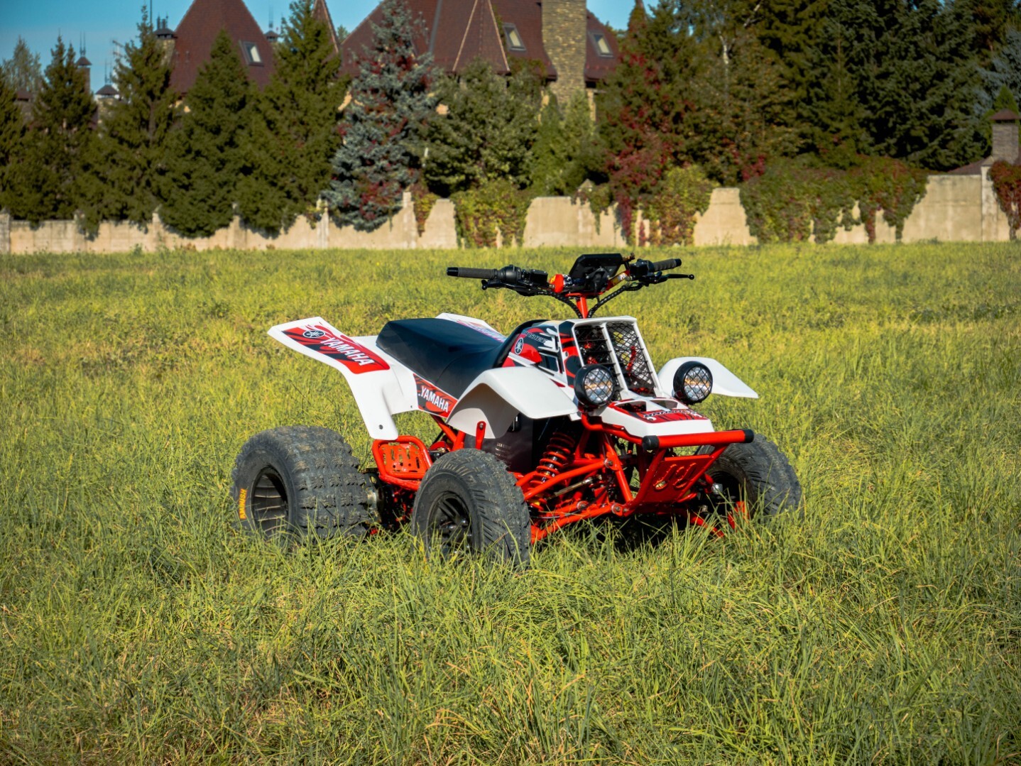 Электроквадроцикл Simargl Banshee