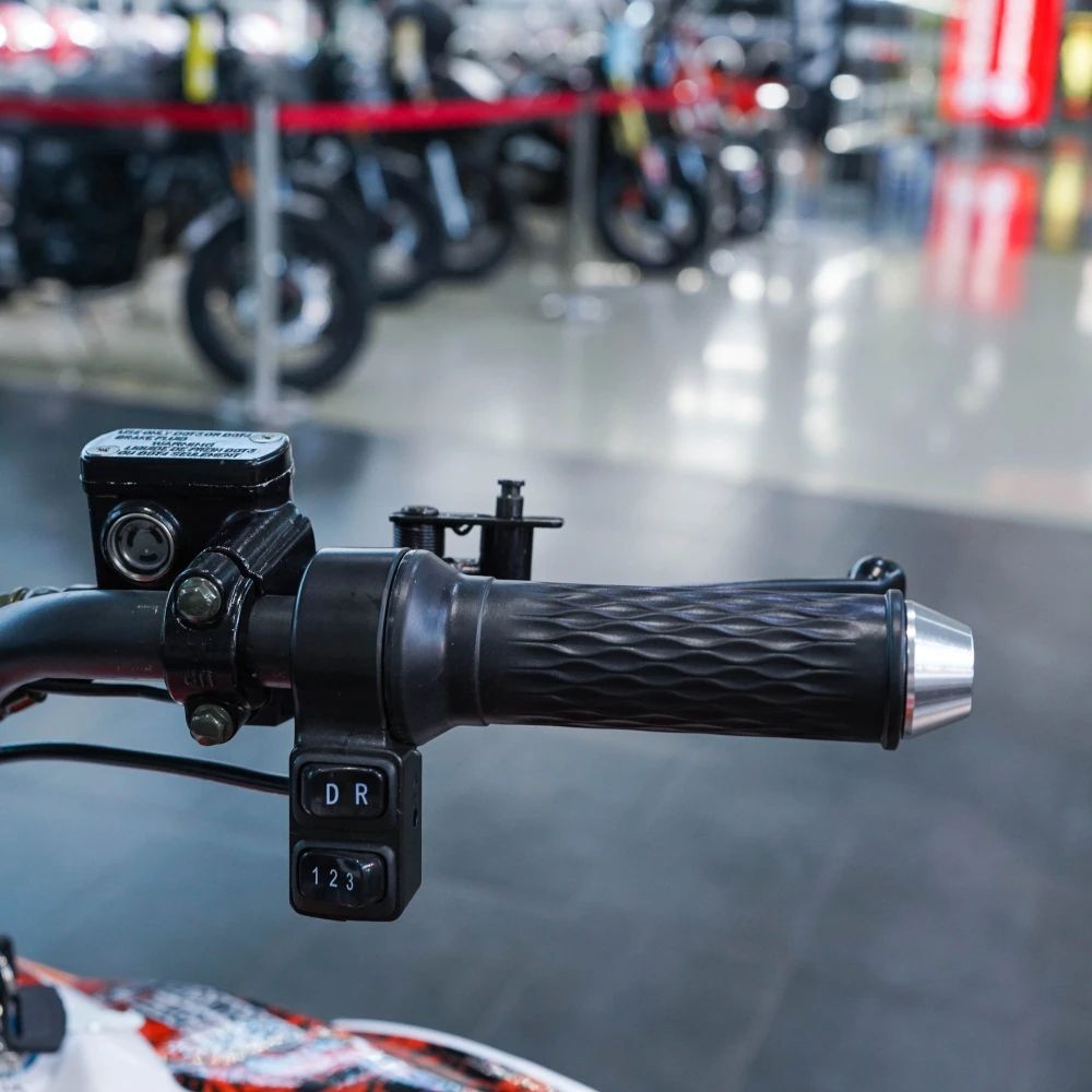 Электроквадроцикл ECO SUFA Sport — изображение 19
