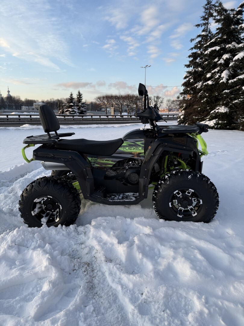 Бензиновый квадроцикл YACOTA VIKING LONG 250 PRO — изображение 2