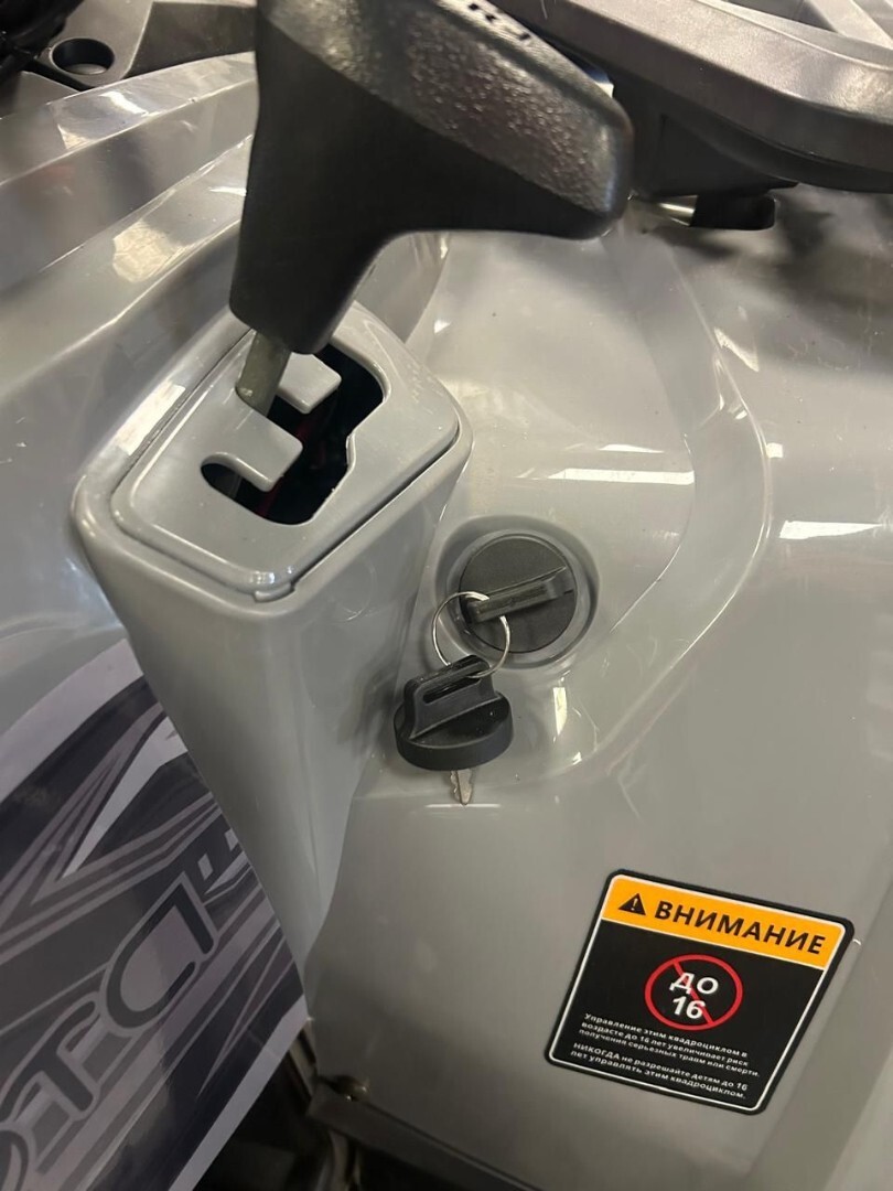 Бензиновый квадроцикл YACOTA VIKING LONG 250 PRO — изображение 12