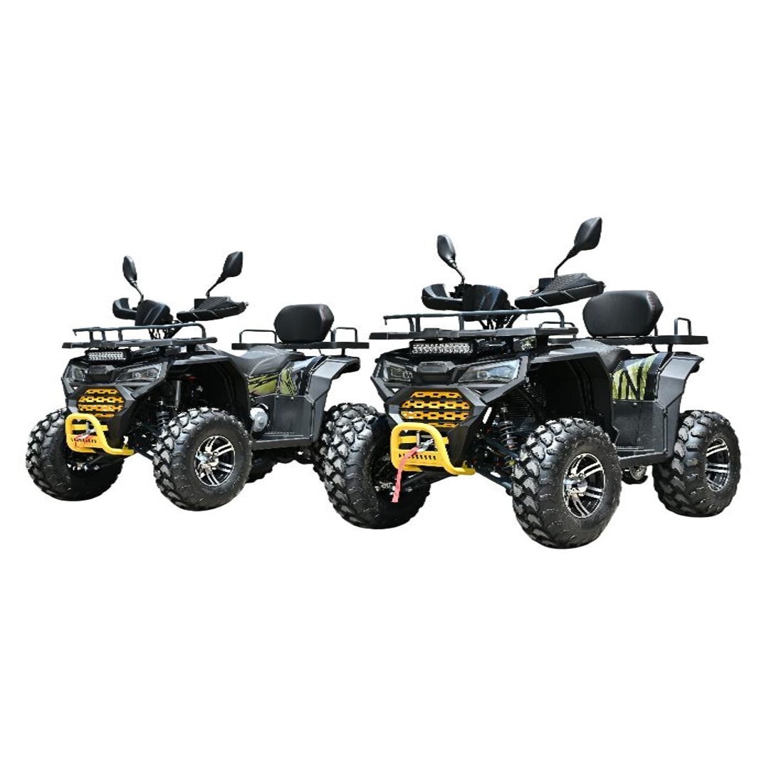 Бензиновый квадроцикл WELS ATV Dodge 225 PRO