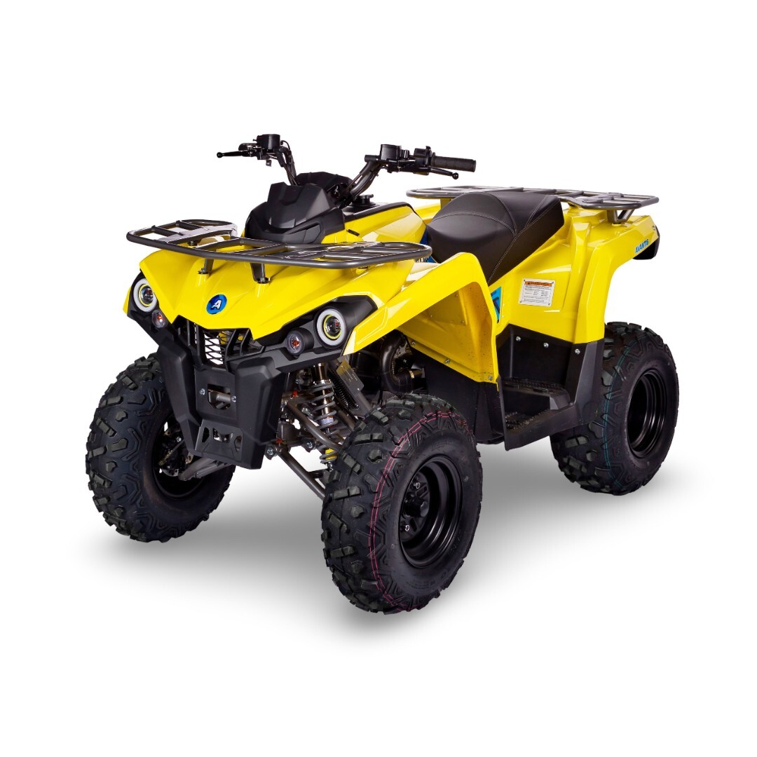 Бензиновый квадроцикл Avantis Forester Long 200 Basic