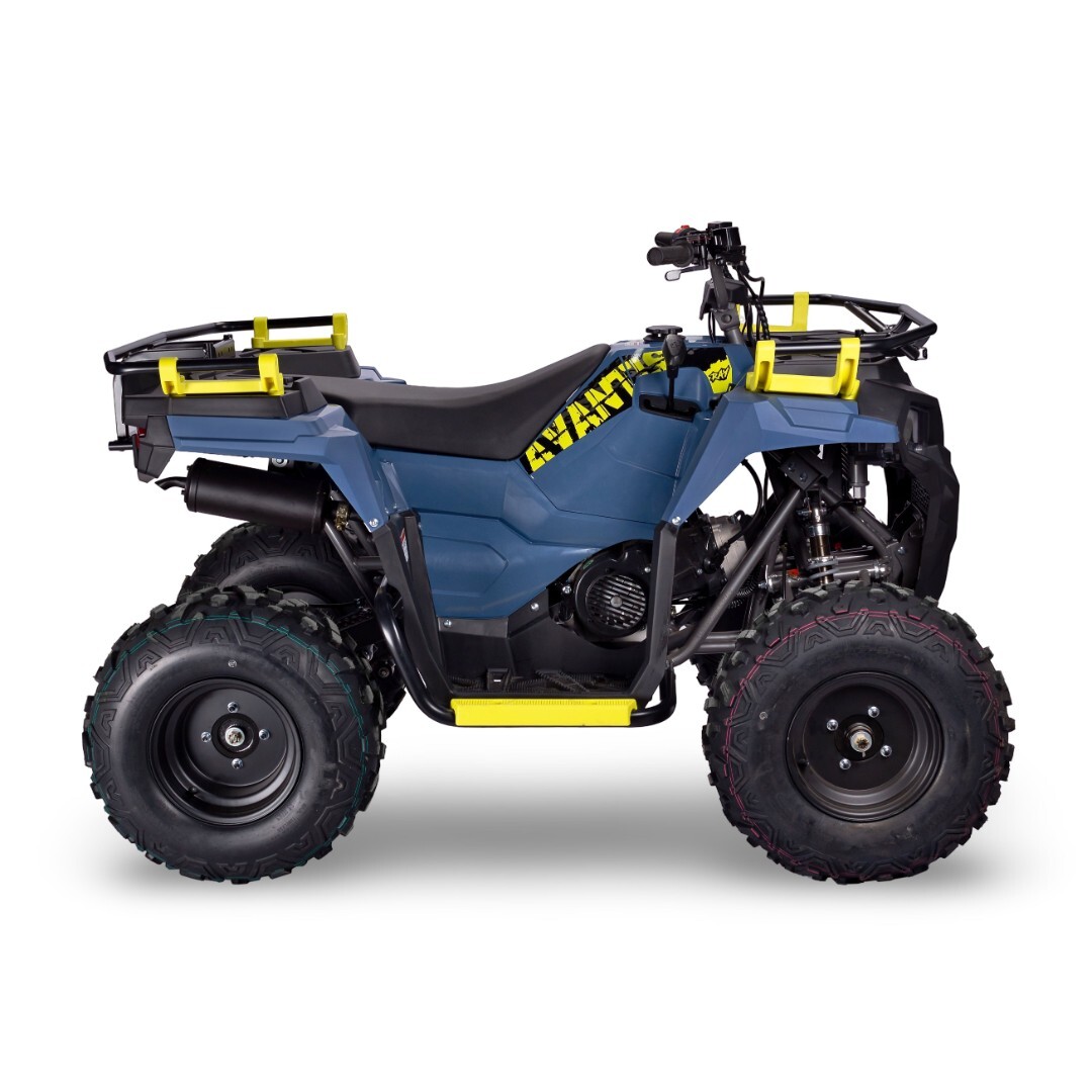 Бензиновый квадроцикл Avantis Ray 200 Basic — изображение 2