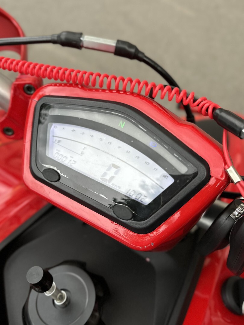 Бензиновый квадроцикл YACOTA TYPHOON 250 LD — изображение 15