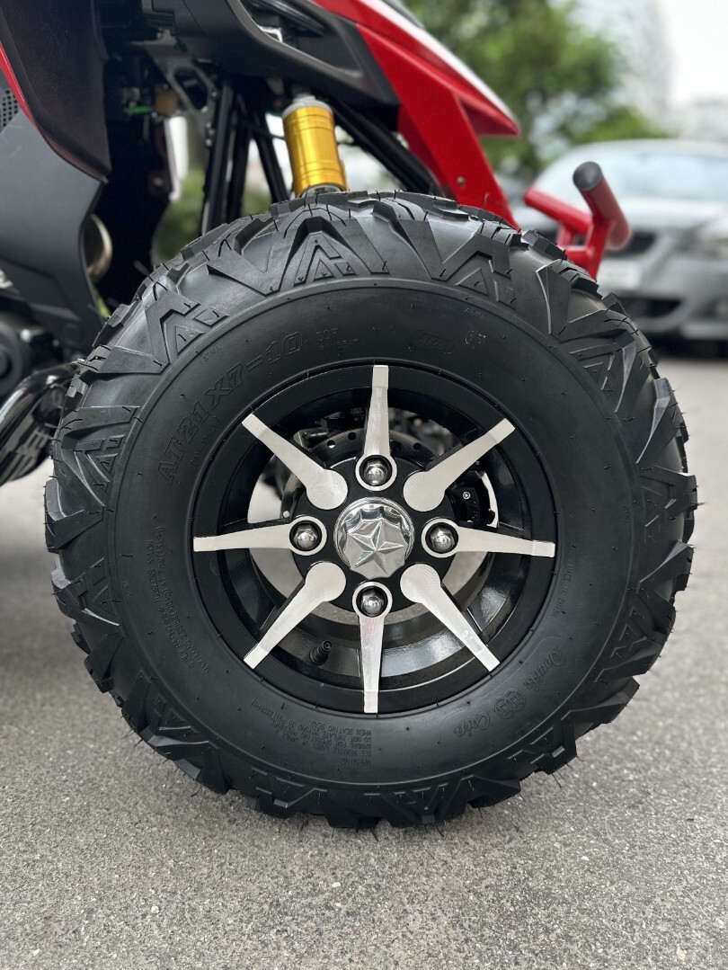 Бензиновый квадроцикл YACOTA TYPHOON 250 LD — изображение 19